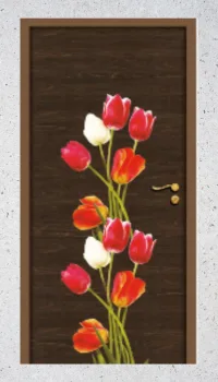 3 D - Digital UV Printed Doors Collections in hyderabad (13)